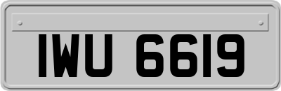 IWU6619