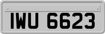 IWU6623