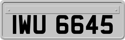 IWU6645