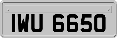 IWU6650