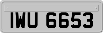 IWU6653