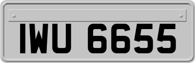 IWU6655