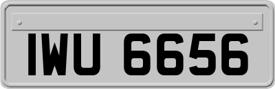 IWU6656