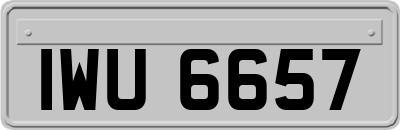 IWU6657
