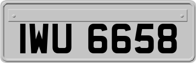 IWU6658