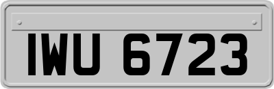 IWU6723