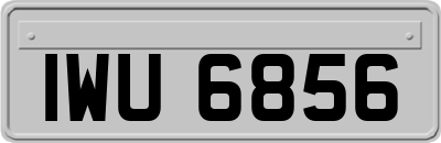 IWU6856