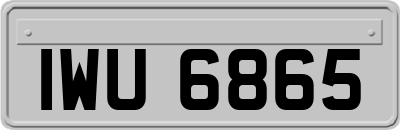 IWU6865