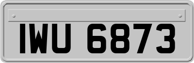 IWU6873