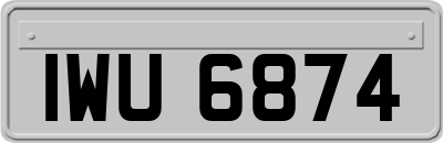 IWU6874