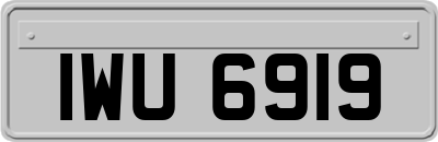 IWU6919