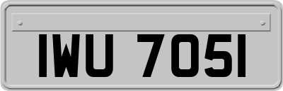 IWU7051