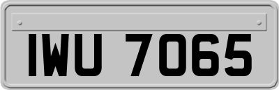 IWU7065