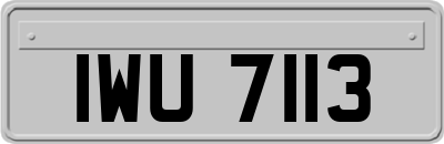 IWU7113