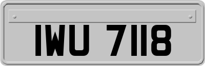 IWU7118