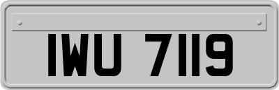 IWU7119