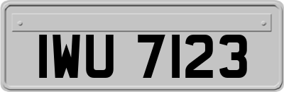 IWU7123