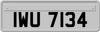 IWU7134