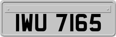 IWU7165