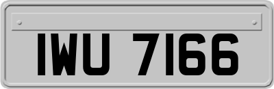 IWU7166