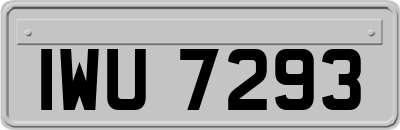 IWU7293