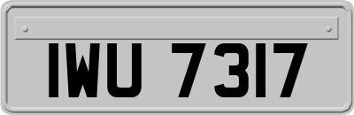 IWU7317