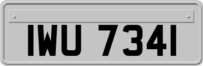 IWU7341