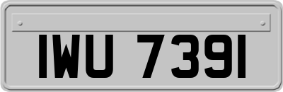 IWU7391