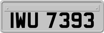 IWU7393