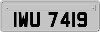 IWU7419