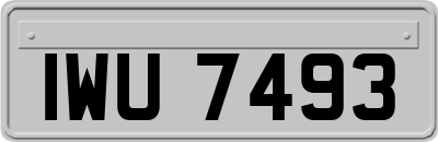 IWU7493