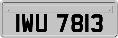 IWU7813