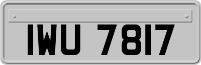 IWU7817