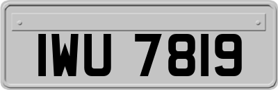 IWU7819