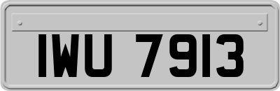 IWU7913