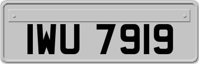 IWU7919