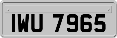 IWU7965