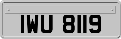 IWU8119