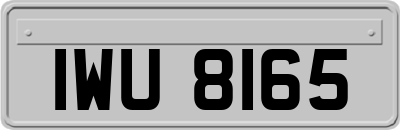 IWU8165