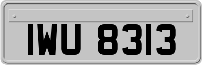 IWU8313