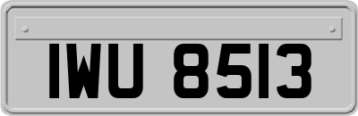 IWU8513