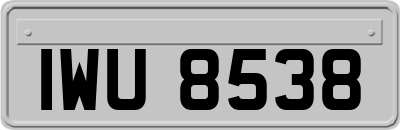 IWU8538