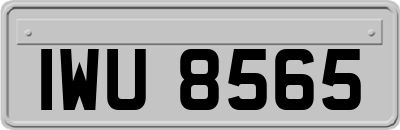 IWU8565