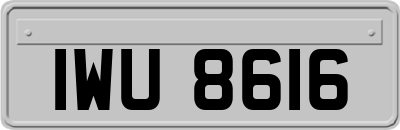 IWU8616