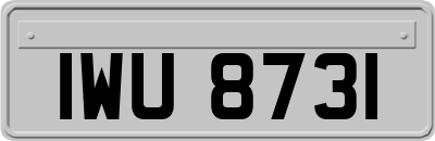 IWU8731