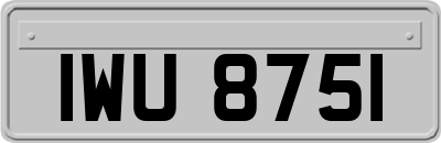 IWU8751