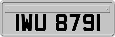 IWU8791