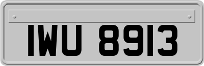 IWU8913