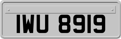 IWU8919