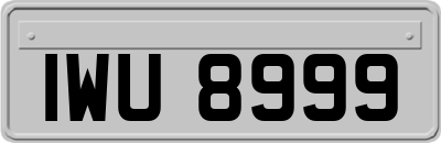 IWU8999